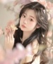 桜～さくら