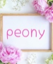 Peony～ピオニー四日市ルーム～