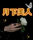 月下美人