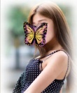 蝶恋花