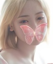 茉莉花・ジャスミン