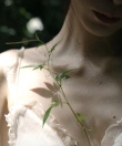 森